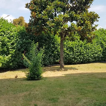 V12 -